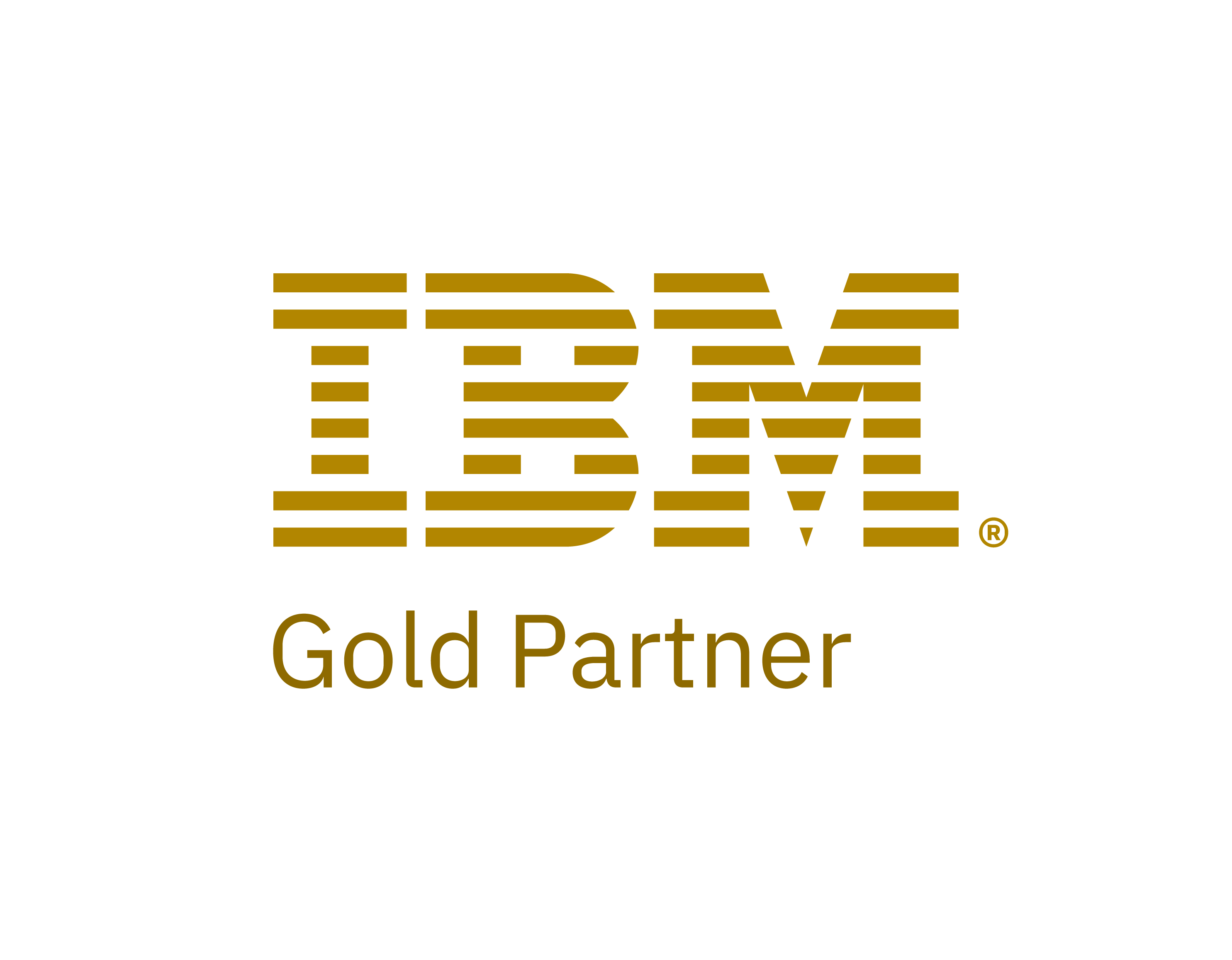 IBM Gold Partner